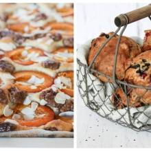 Aprikosen-Blechkuchen und die Buttermilch-Brötchen mit Ovo Rocks