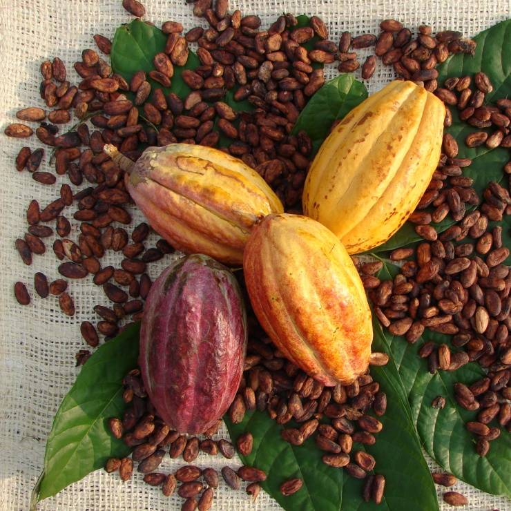 Ovomaltine - Rainforest zertifizierter Kakao